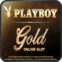 PLAYBOY GOLD