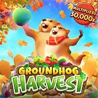 GROUNDHOG HARVEST