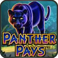 PANTHER PAYS